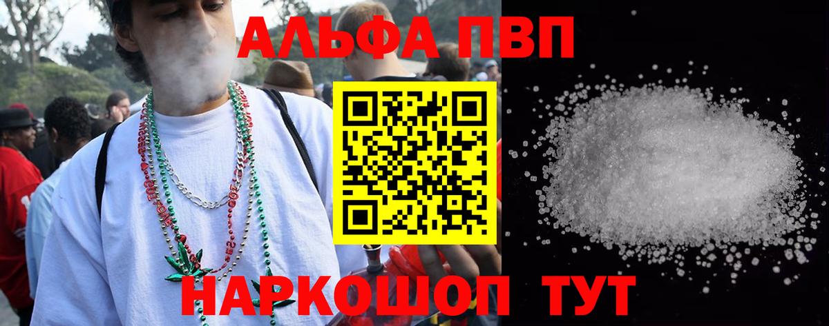 A PVP СК Нижний Новгород