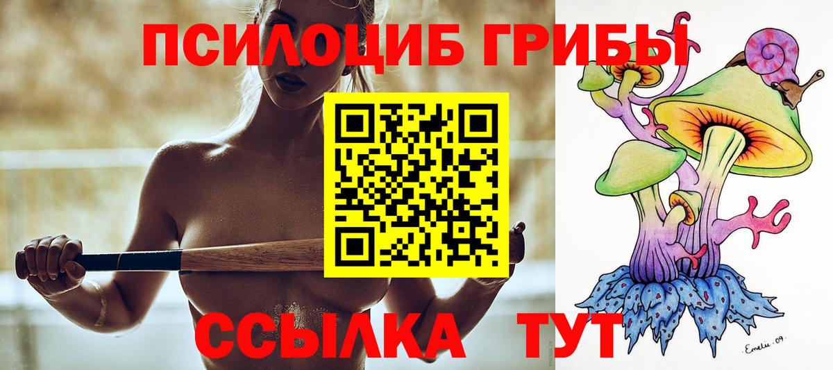 Псилоцибиновые грибы Psilocybine cubensis Нижний Новгород