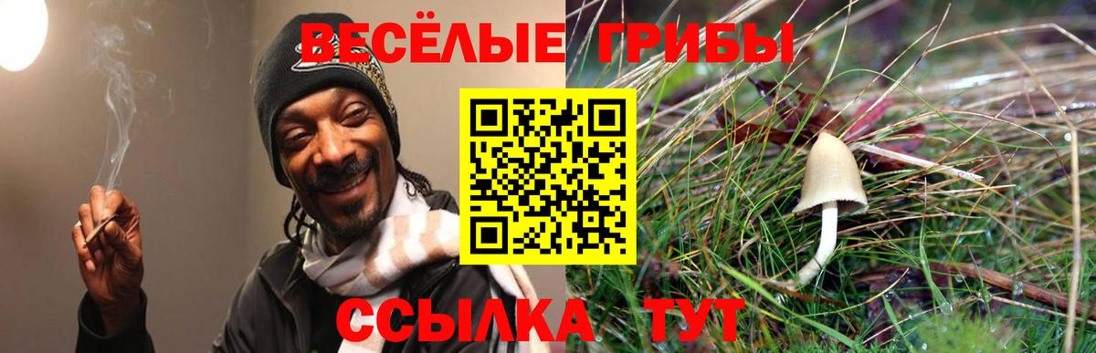 Галлюциногенные грибы мицелий  Вход с VPN  Нижний Новгород 
